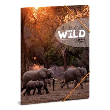 Ars_Una_Mate_Bence_The_Eyes_of_the_Wild_Elephant_A4_gumis_dosszie