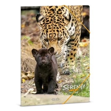 Ars_Una_Serenity_Jaguar_A4_gumis_dosszie
