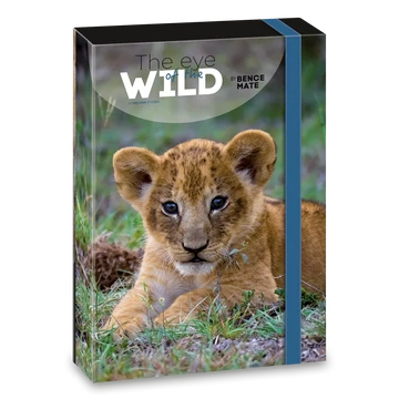 Ars_Una_Mate_Bence_The_Eyes_of_the_Wild_Lion_A4_fuzetbox