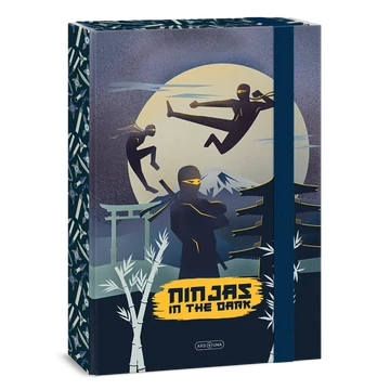 Ars_Una_Ninjas_in_the_dark_A4_fuzetbox