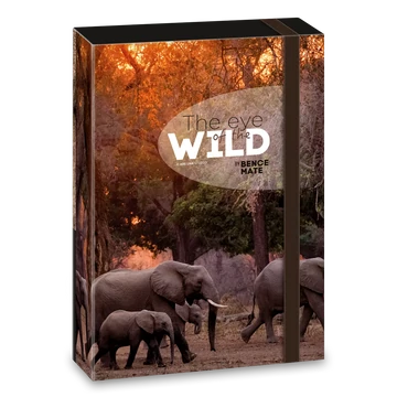 Ars_Una_Mate_Bence_The_Eyes_of_the_Wild_A5_fuzetbox