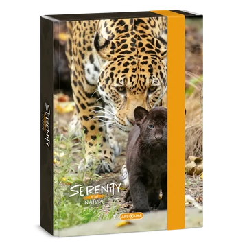 Ars_Una_Serenity_Jaguar_A5_fuzetbox