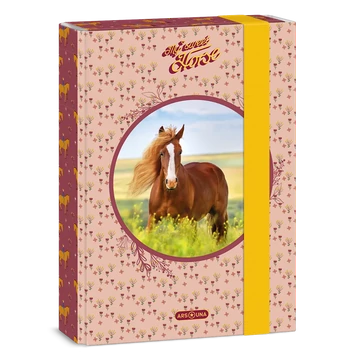 Ars_Una_My_Sweet_Horse_A5_fuzetbox