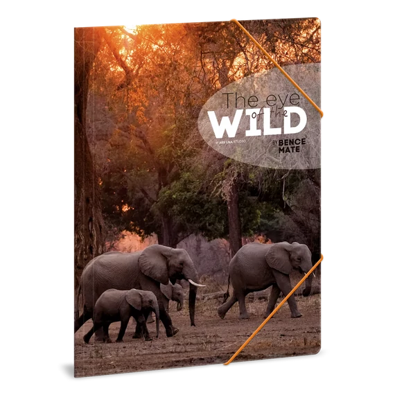 Ars_Una_Mate_Bence_The_Eyes_of_the_Wild_Elephant_A4_gumis_dosszie
