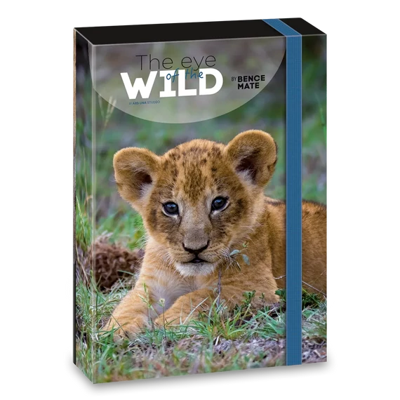 Ars_Una_Mate_Bence_The_Eyes_of_the_Wild_Lion_A4_fuzetbox