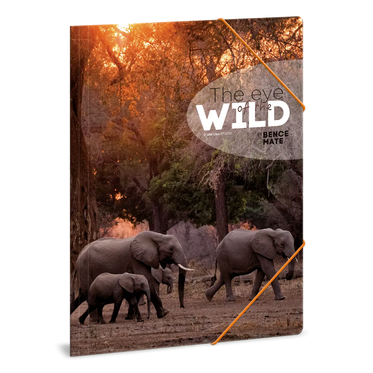 Ars Una Máté Bence The Eyes of the Wild - Elephant A/4 gumis dosszié