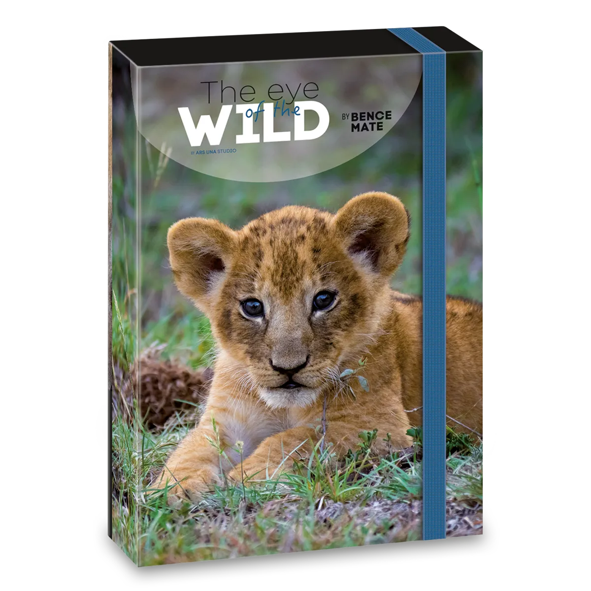 Ars Una Máté Bence The Eyes of the Wild - Lion A/4 füzetbox