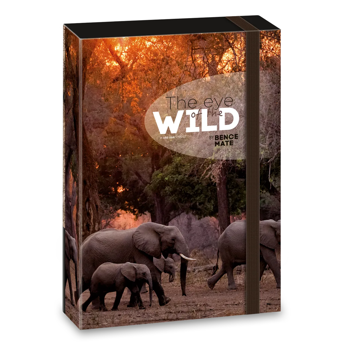 Ars Una Máté Bence The Eyes of the Wild - Elephant A/4 füzetbox